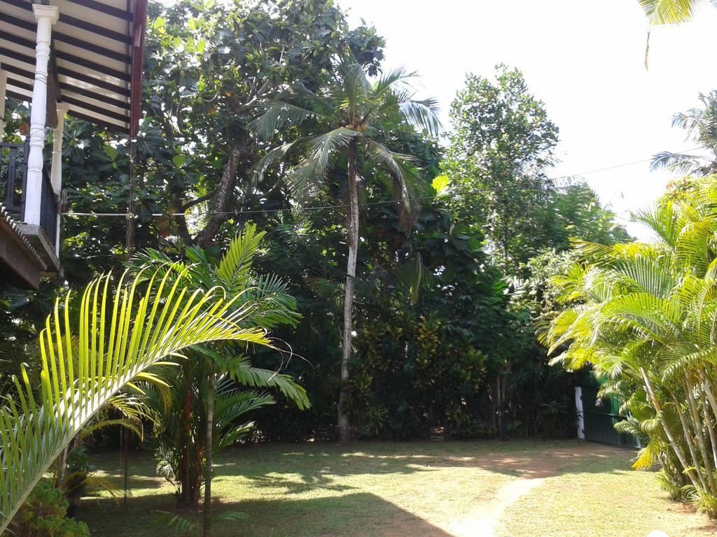 Villa 159 Хиккадува Экстерьер фото